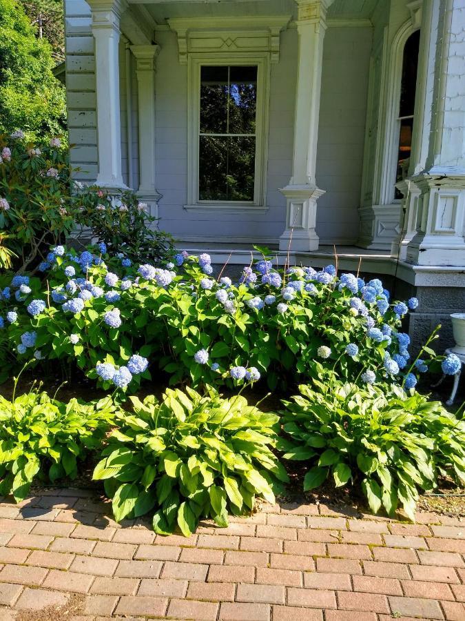 Proctor Mansion Inn Wrentham Exteriör bild